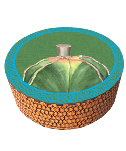 Tortillero – Cactus Verde Azul